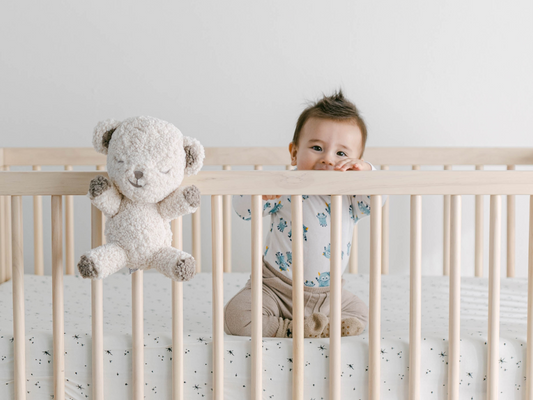 SNOObear® 3-in-1 White Noise Lovey